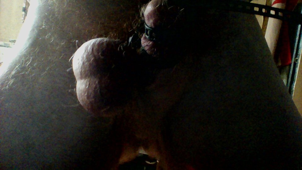 WOLIN - WIN_20171211_104125.JPG - janekoko4