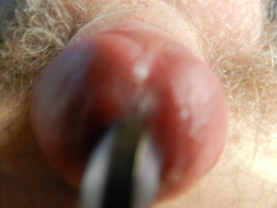 DSCN1247.JPG - janekoko4