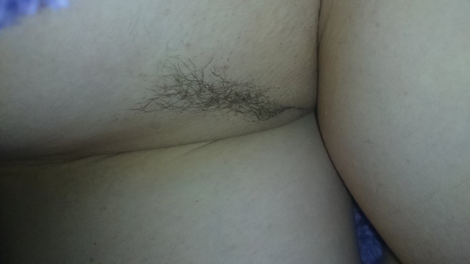 DSC_1143.JPG - pawsexan