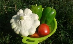 Soki warzywne są najlepsze!