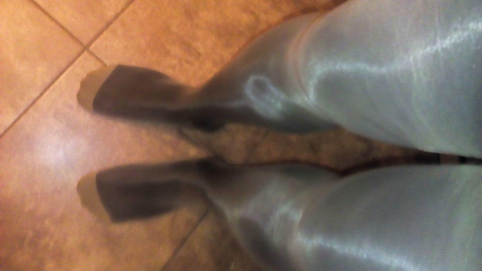 20180115_071300.jpg - LucynaTrans