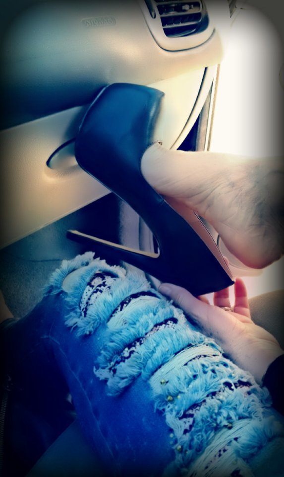 20170815_8853.jpg - Cassiope