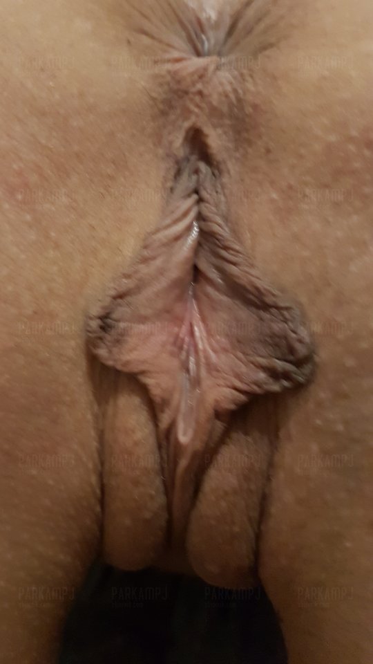 butterfly - parkampj