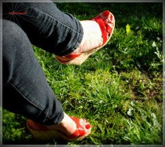 Czerwone Koturny  98