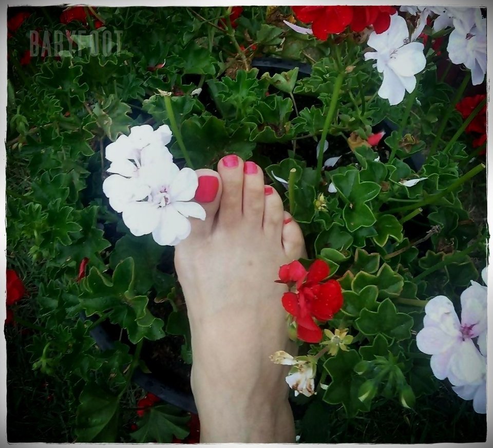 różowe cukiereczki - Babyfoot