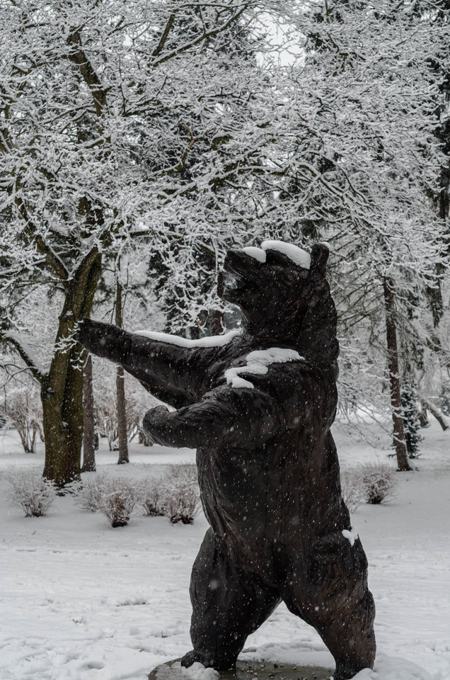 Tyyyyle śniegu nayebao  :))))) - mystic