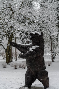 Tyyyyle śniegu nayebao  :)))))