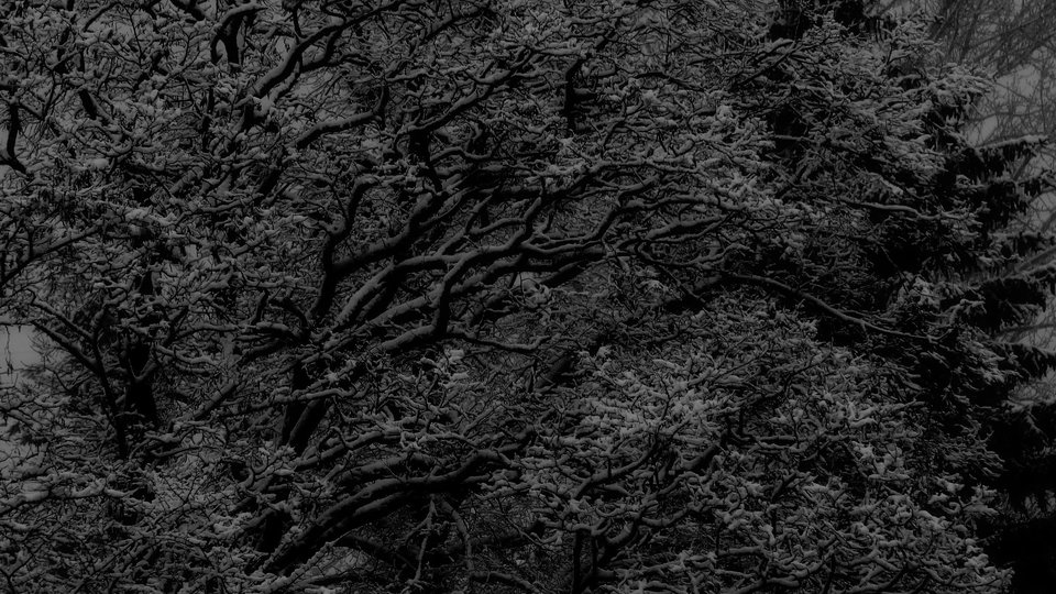 P1010032.jpg - FoKam431