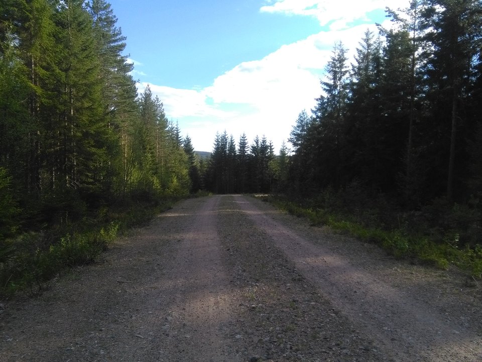 IMG_20170524_185141.jpg - Niepozorny1978