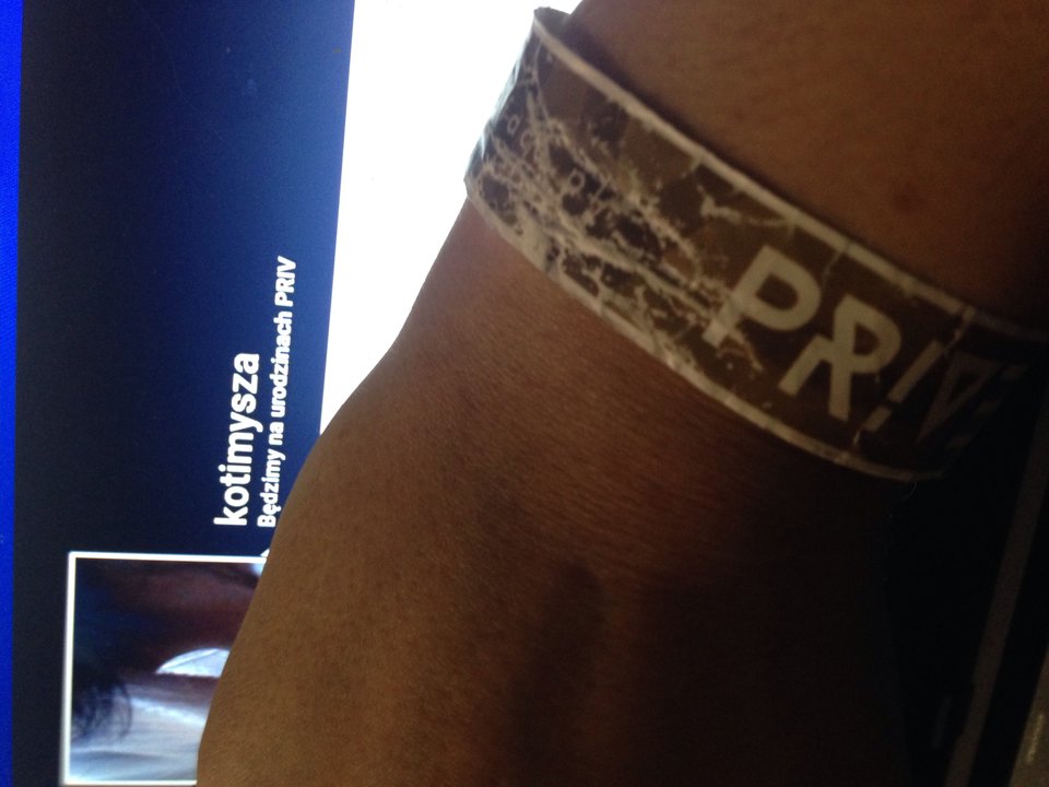 IMG_3490.jpg - kotimysza