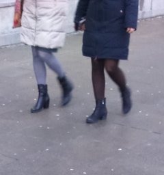 DSC_0009v.jpg