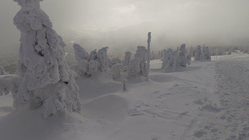 IMG_20180122_135923.jpg - StrongPecker