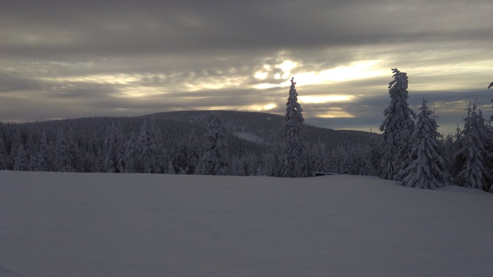 IMG_20180122_152322.jpg - StrongPecker