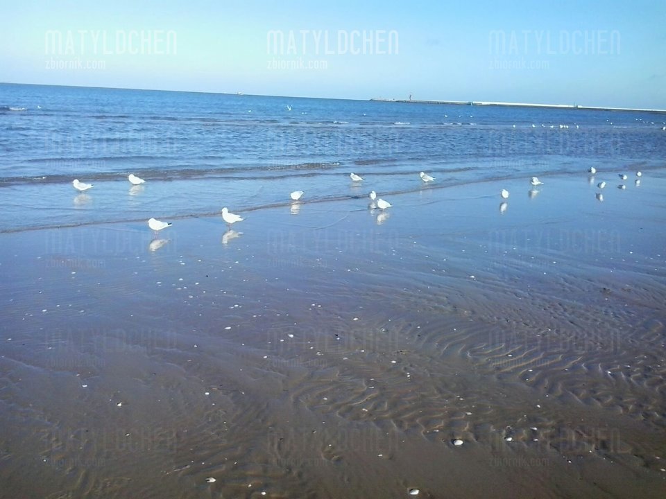 IMG-20180201-WA0002.jpg - matyldchen