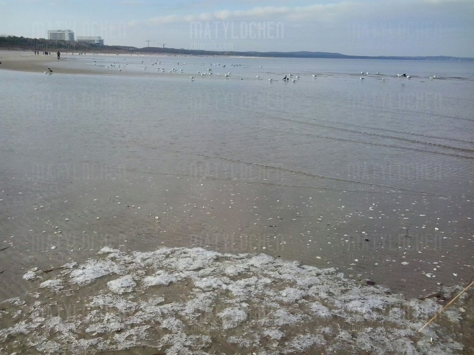 IMG-20180202-WA0001.jpg - matyldchen