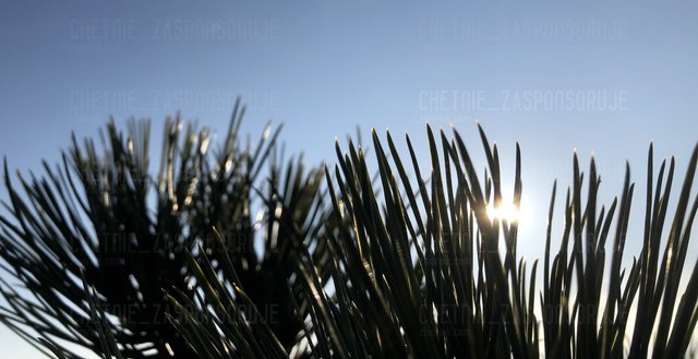 chetnie_zasponsoruje