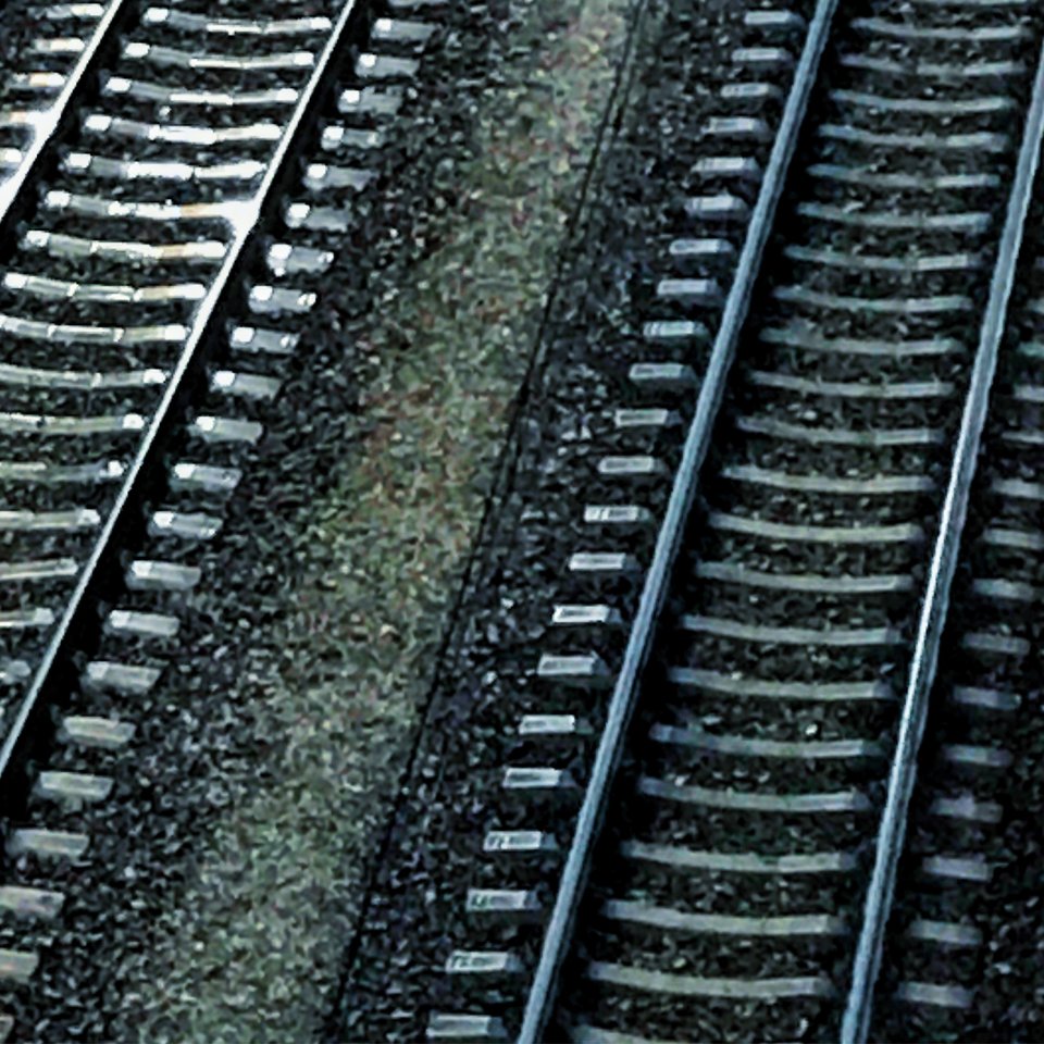 IMG_0231.JPG - Mekagojiranogyakushu