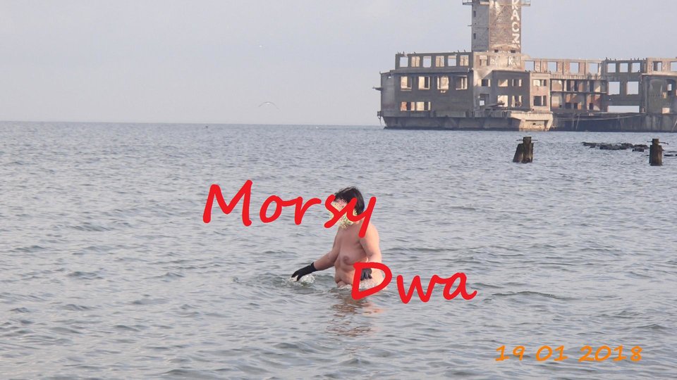 Babie Doły - Morsy_dwa