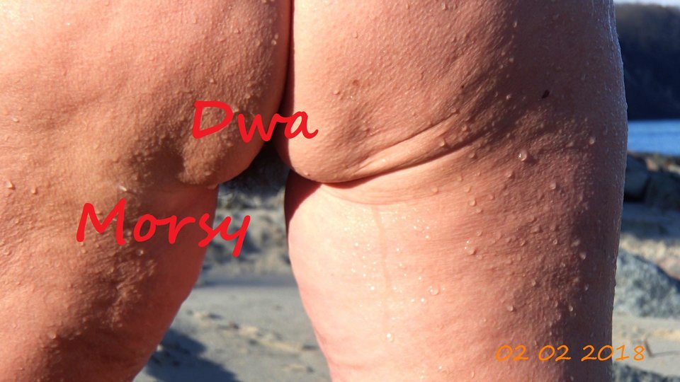 Babie Doły - Morsy_dwa