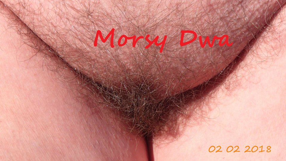 Babie Doły - Morsy_dwa