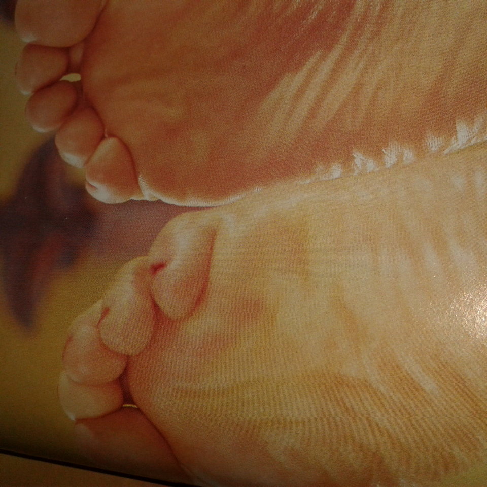 20180204_122827.jpg - parkapl1973