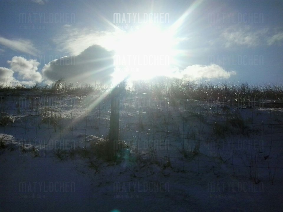 IMG-20180205-WA0001.jpg - matyldchen