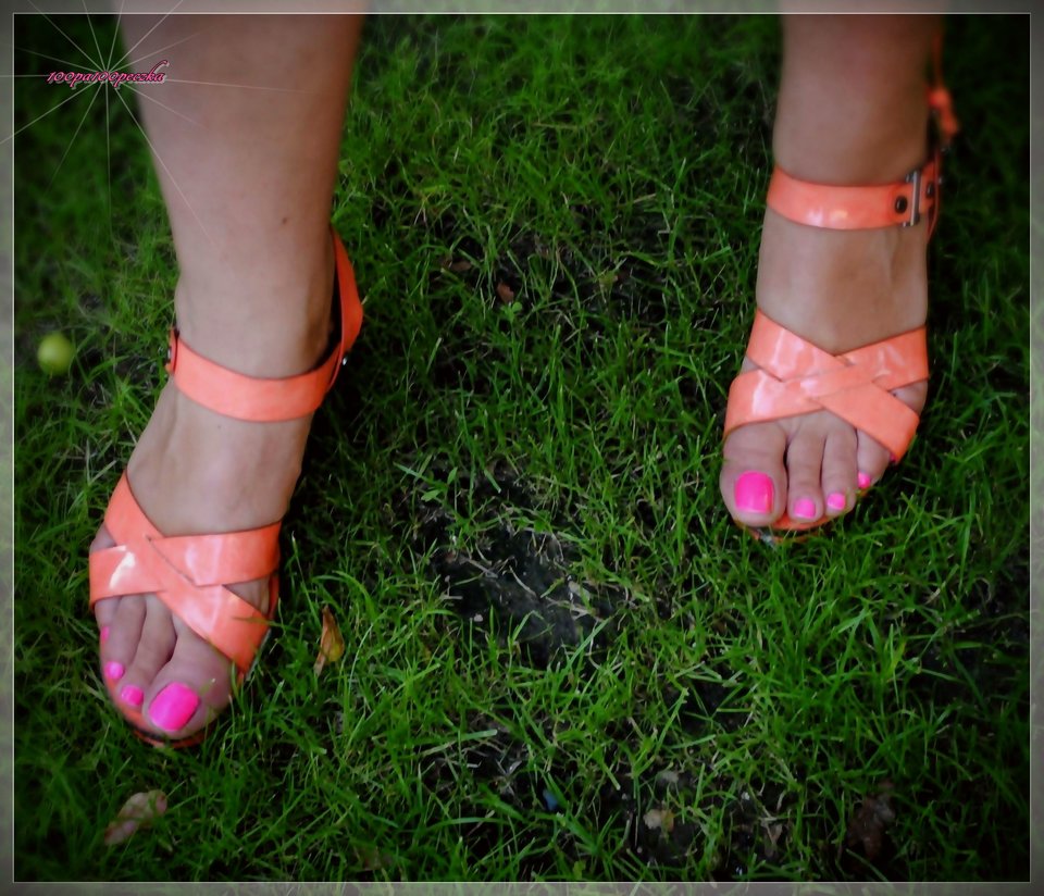 Pomaranczowe II #54 - 100pa100peczka