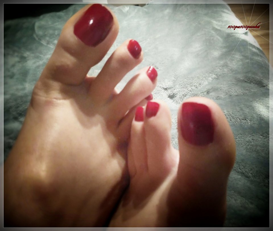 Bordo - 100pa100peczka