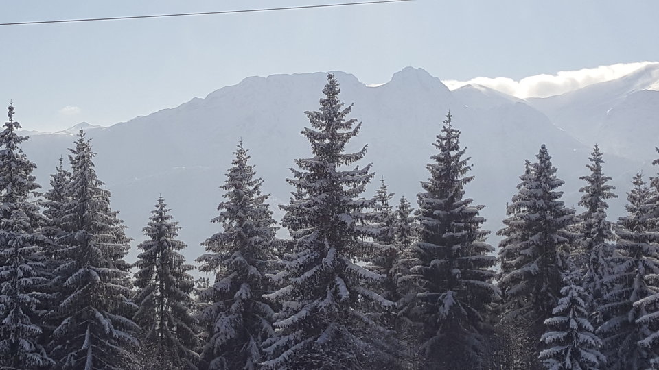 20180206_112118.jpg - CUBUT