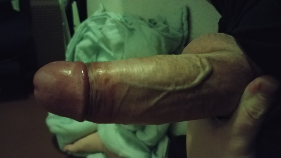 1518483971071316406764.jpg - earendil