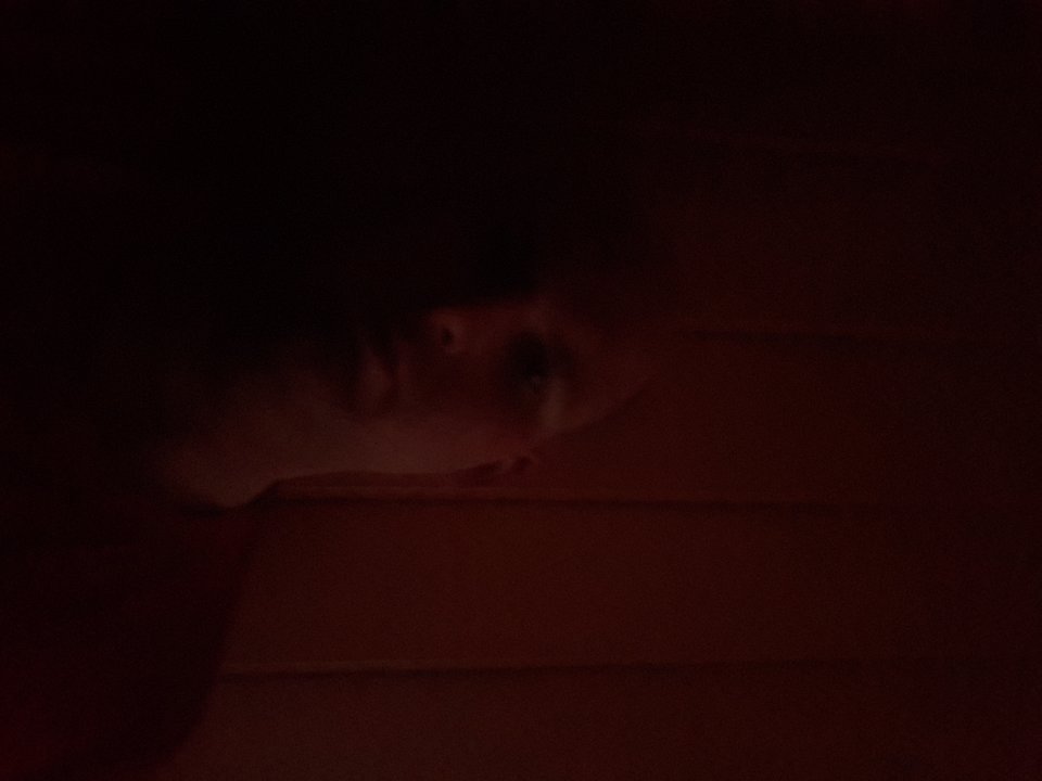 20180215_145632.jpg - Wolmy123