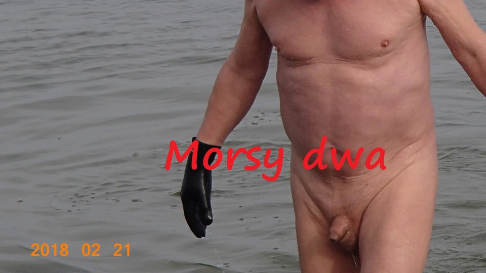 Babie Doły - Morsy_dwa