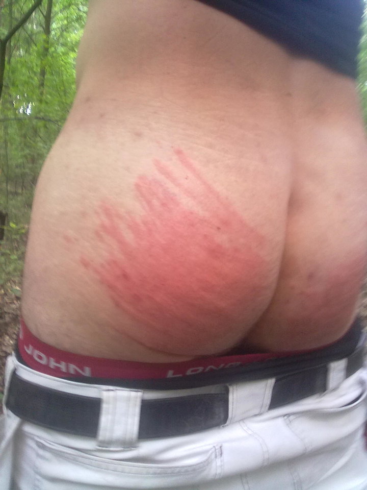 20120613076.jpg - zbyhof