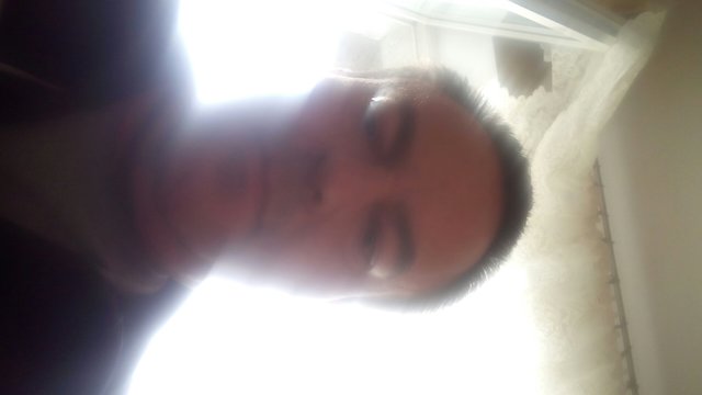 niesmialyoks