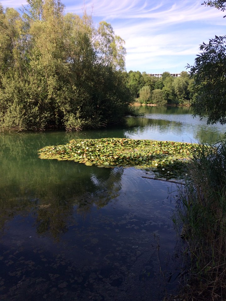 475EABA6-65E1-405B-92E4-B1C2887067DB.jpeg - pawelsolt