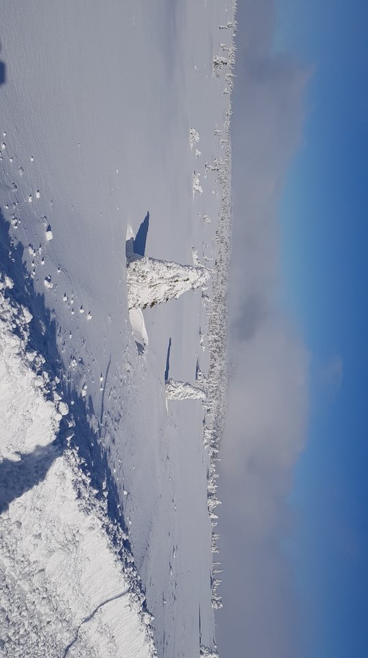 20180223_135841.jpg - onkonkretny