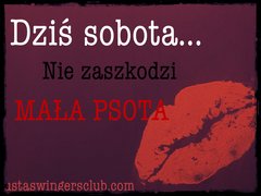 ustaswingersclub.com