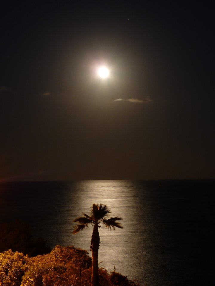 P1110547.JPG - Nienasyceniec