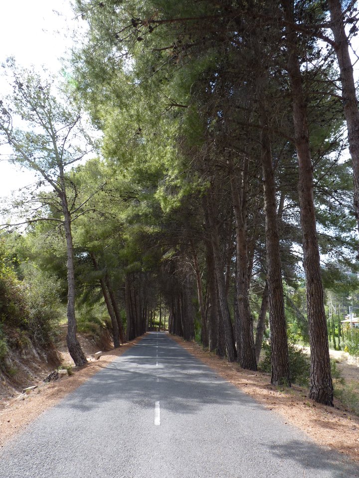 P1110629.JPG - Nienasyceniec