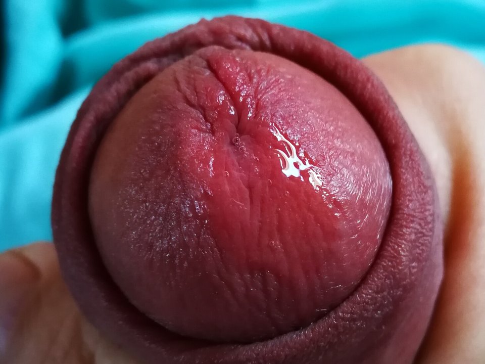 IMG_20180225_084043.jpg - MrFerda