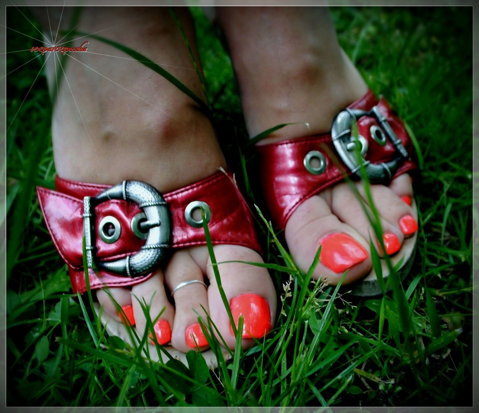 Czerwone Drewniaczki 73 - 100pa100peczka