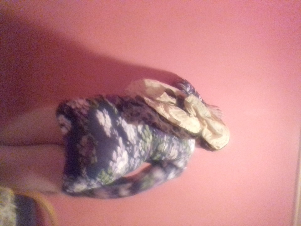 20180226_202559.jpg - luki2621