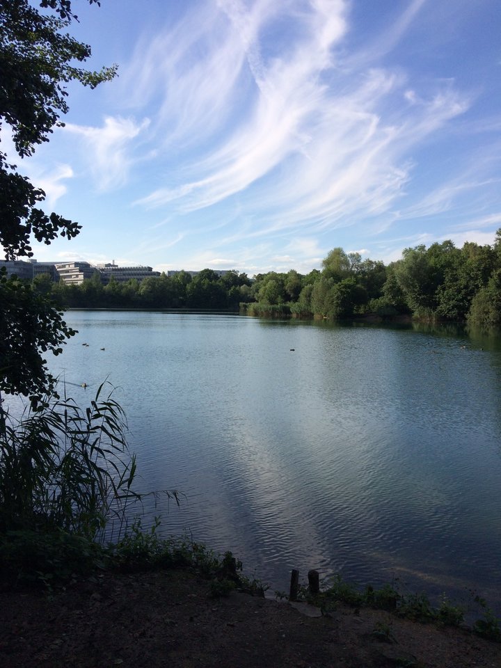 D6181AFF-0F61-43F9-A033-150C8E2AADFD.jpeg - pawelsolt