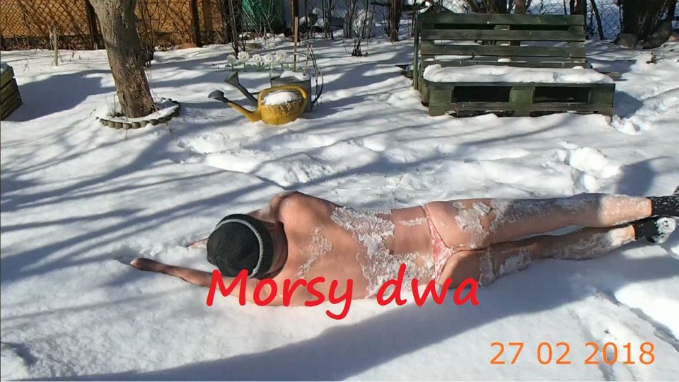 Kulanie się w śniegu. - Morsy_dwa