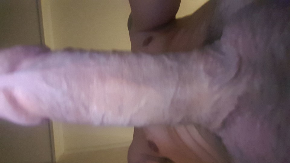 IMG-20180227-WA0016.jpeg - Pawlak44