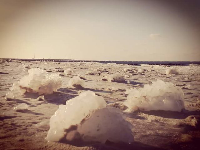 FB_IMG_1519901456952.jpg - bloqu