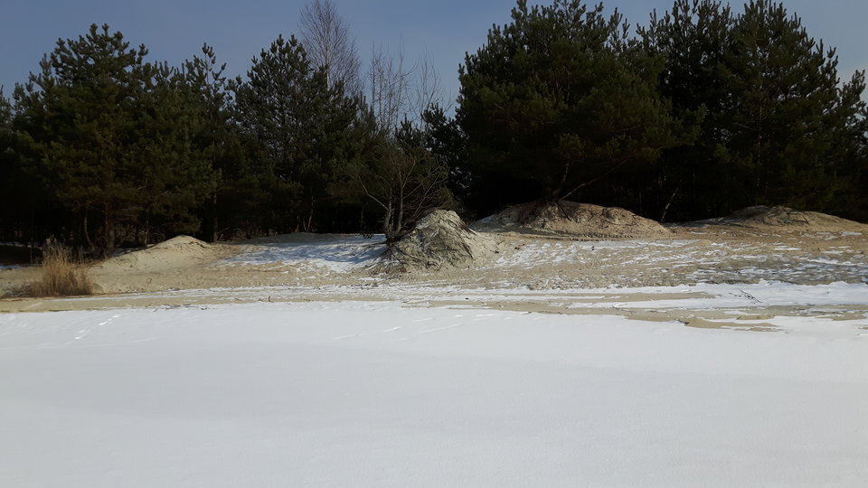 20180301_124022.jpg - rafixxx1