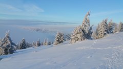 20170208_162419.jpg
