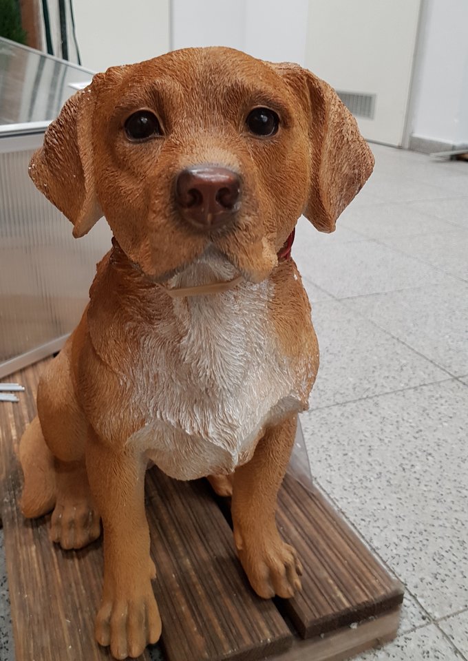 20180304_013101.jpg - wojtas388