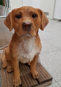 20180304_013101.jpg